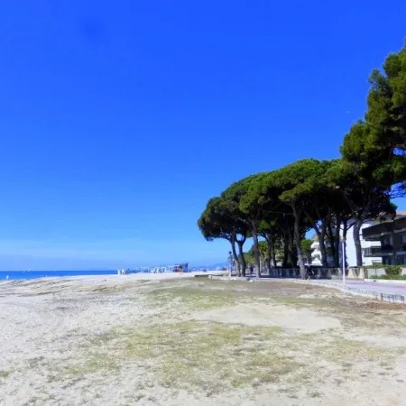 Rentalmar Pins Marina