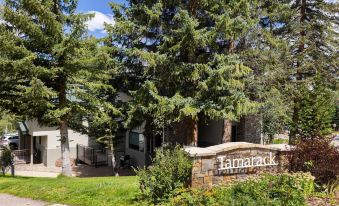 Tamarack Townhomes - CoralTree Residence Collection