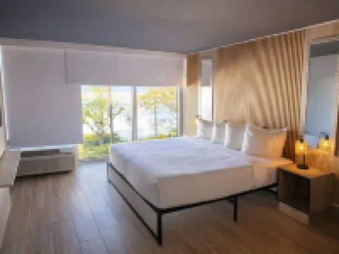 トロピカル パームス ホテル クリアウォーターのホテル