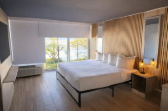 트로피컬 팜스 호텔