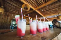 Hostel 197 - bar