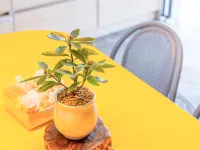 Donghae Hotel Bada 東海市のホテル