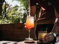 Palmar Beach Lodge - bar