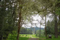 Darlingwood