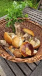 Les Jardins de Nanine - breakfast