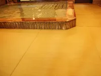 Ryotei Kotaki - Hot Springs