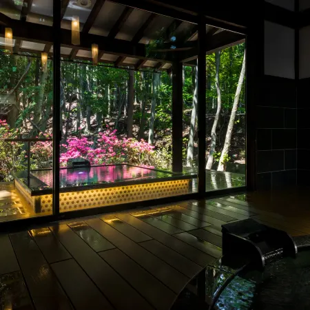 Hotel Ootaki