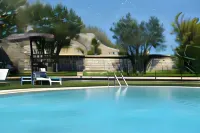 Vittoria Resort Pool & Spa - Pools
