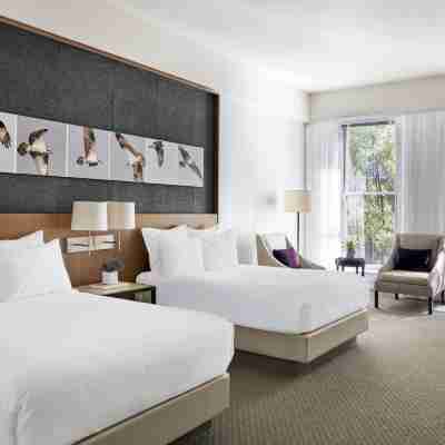 21C Museum Hotel Louisville Rooms