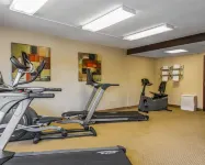 Rodeway Inn & Suites - Phòng Gym