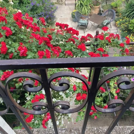 La Maison des Augustins 4 Stars Spa et Fitness