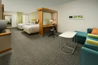 SpringHill Suites Bridgeport Clarksburg - Swimmingpools