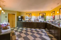 Hampton Inn Selinsgrove/Shamokin Dam - Swimmingpools