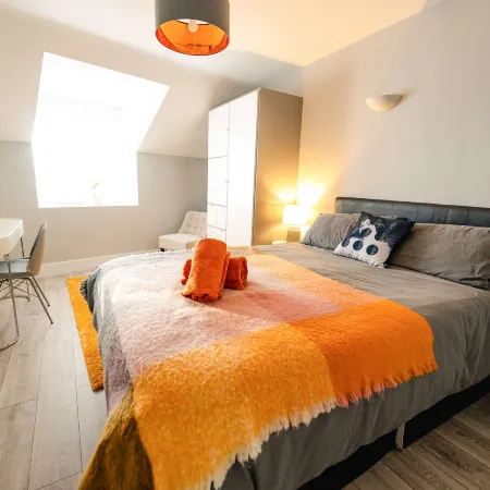 Luxury High Ceiling 2BR Apt Near Centre & Stadium