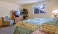 WorldMark Surfside Inn - Uima-altaat