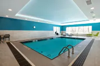 Hampton Inn & Suites by Hilton Ottawa West - Pools
