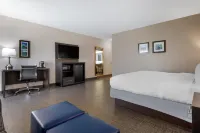 Comfort Inn & Suites Greer - Greenville - 2-Star