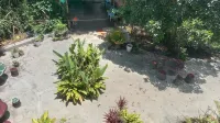 Pukyo Bed and Breakfast Belgian Lao - Wifi