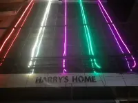 Harry's Home - Suối nước nóng