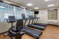 Comfort Suites - Gym
