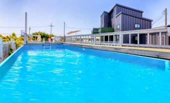 Taean (Anmyeondo) Puppy 21 Pet Friendly Pension