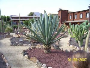 Townhouse Tabernas