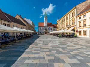 Amazing Home in Varazdin Breg with Sauna, Wifi and Outdoor Swimming Pool