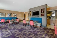 Comfort Inn & Suites Market - Airport