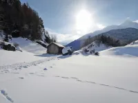 Moosalm