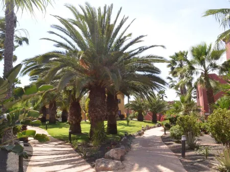 Tamarindo Piscinas de Agua Salada + Fibra Optica