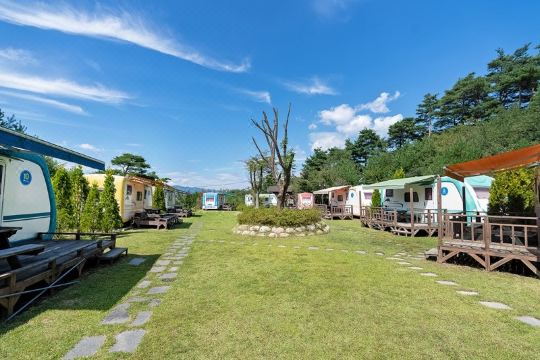 강릉 씨클라우드카라반펜션의 야외 카라반 모습