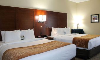 Comfort Inn & Suites Fultondale Gardendale I-65