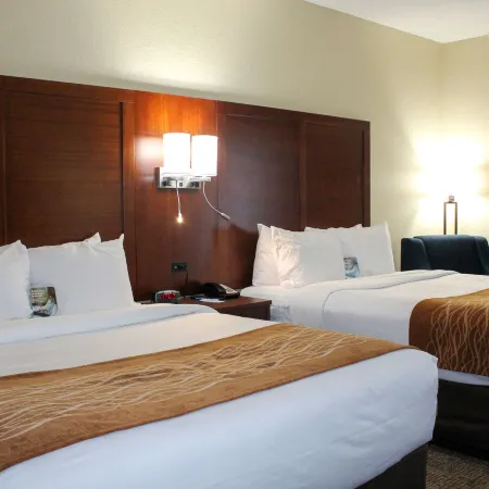 Comfort Inn & Suites Fultondale Gardendale I-65