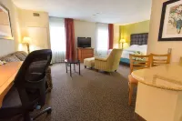 Drury Inn & Suites McAllen - 3-Star