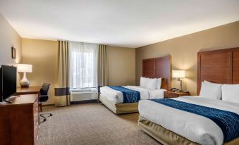 Comfort Inn South Chesterfield - Colonial Heights