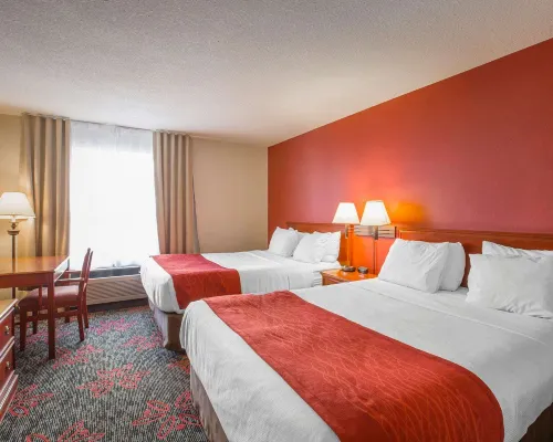 Comfort Inn & Suites University Hotels near Lions Park C train