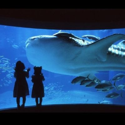 ホテル周辺 リーガロイヤルホテル 大阪の写真