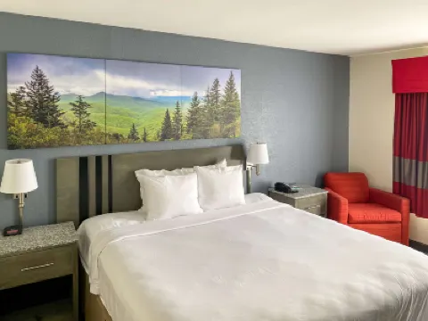Clarion Pointe - Greensboro Coliseum Area Hotels in Guilford County