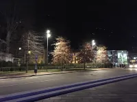 Bed and Breakfast Storico