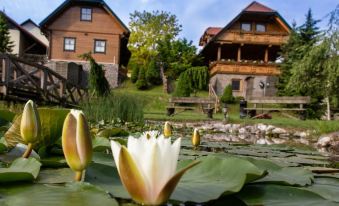 Korošec Apartments and Wellness Centre