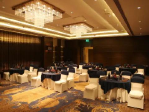 新德里機場城傲世廣場飯店 新德里住宿飯店