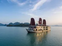 Orchid Trendy Cruise