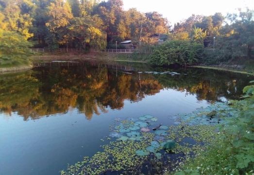 2. 파고다 사이트 ..