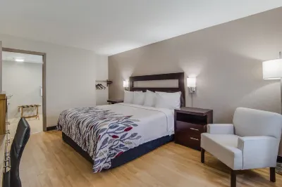 โรงแรม Red Roof Inn St George, SC โรงแรมใน