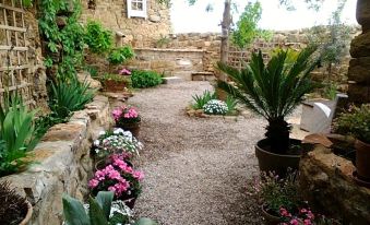 La Casa Dels Ocells - Housity