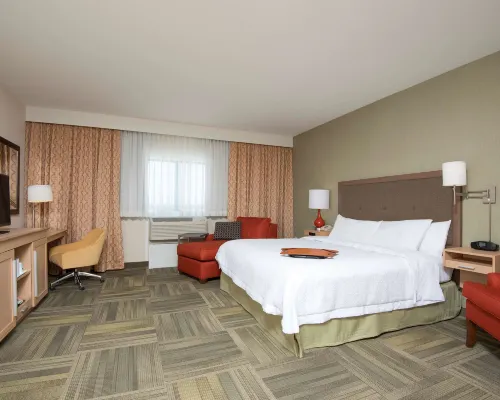 希爾頓歡朋酒店-卡拉馬祖 卡拉馬祖酒店