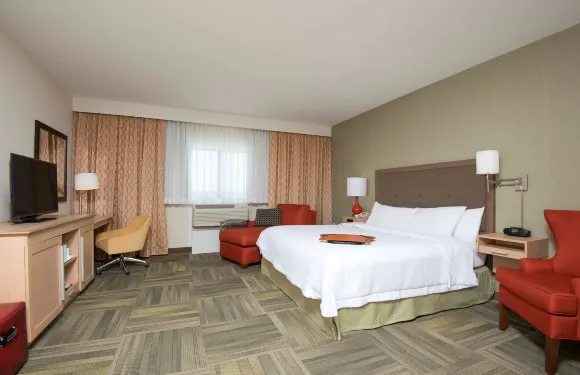 希爾頓歡朋酒店-卡拉馬祖