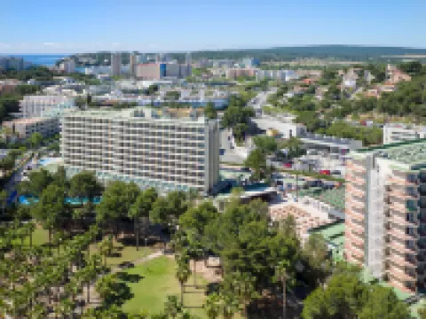 Sol Palmanova Mallorca Hotels in Palmanova