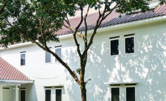 Studio7 @Parahyangan Guest House Bandung
