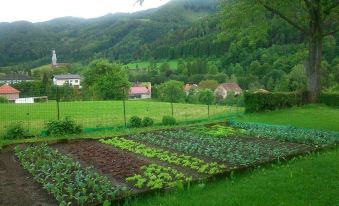 a lush green field with a variety of vegetables , such as lettuce and carrots , growing in it at Berghof